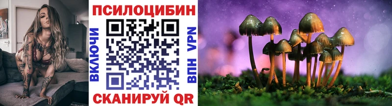 где купить наркотик  Нижняя Салда  Псилоцибиновые грибы прущие грибы 